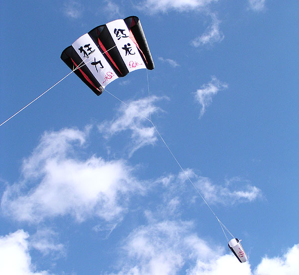 Wilde Kraft - Roter Drachen