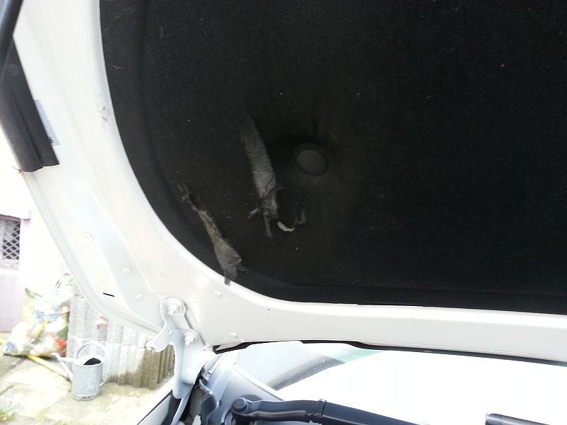 Isolation oben angefressen