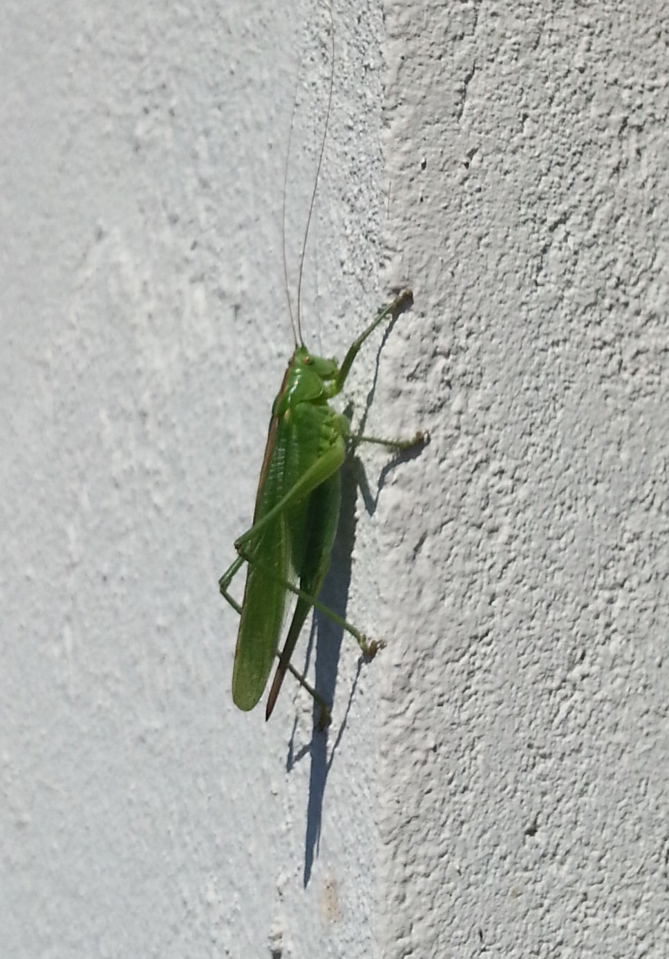 20140718_103321.jpg