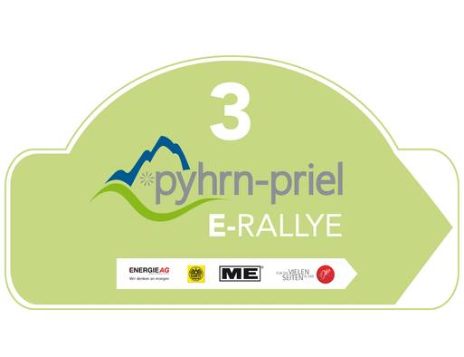 Logo_E-Rallye_2014_01_1af46141cb.jpg
