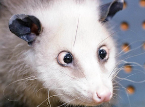 Bildschirmfoto 2014-08-31 um 07.36.38.png