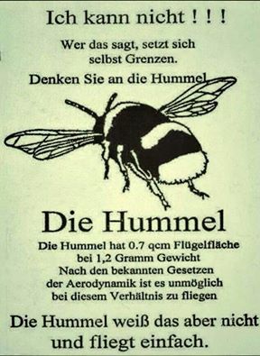 Die Hummel.jpg