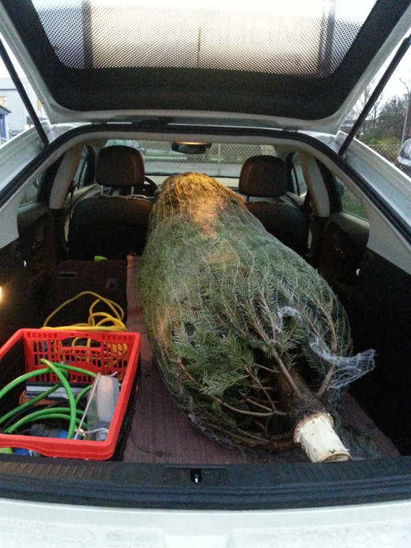 Christbaum im Ampera - Kopie.jpg