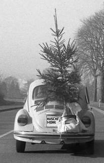 Christbaumtransport.jpg