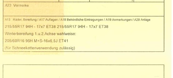 Auszug Zulassung