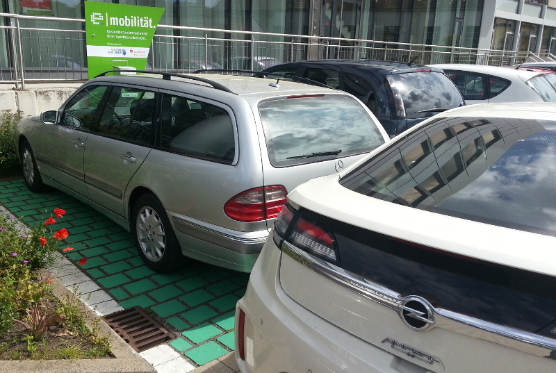 20130616_110215.jpg