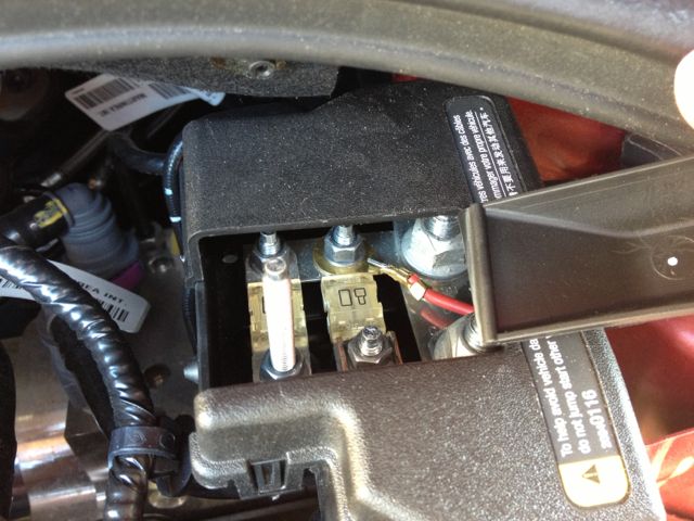 Marderschreck IV.jpg