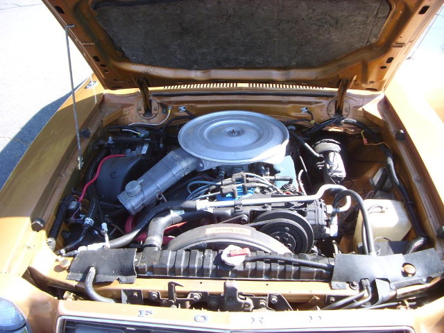 04_MustangII_78_engine.jpg