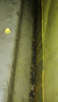 Rost oder nur Dreck.JPG